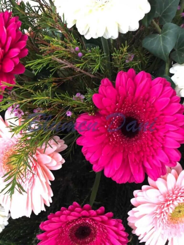 Bukett Gerbera