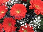 Bukett Gerbera