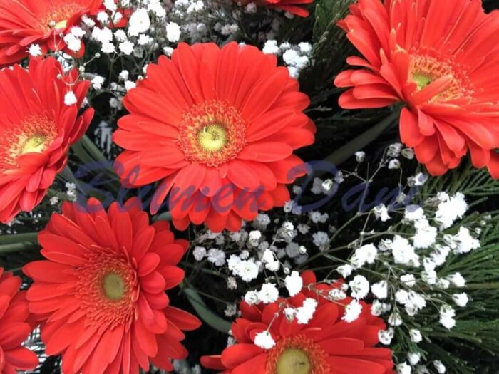 Bukett Gerbera