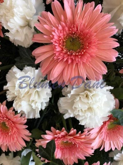 Bukett Gerbera und Nelken