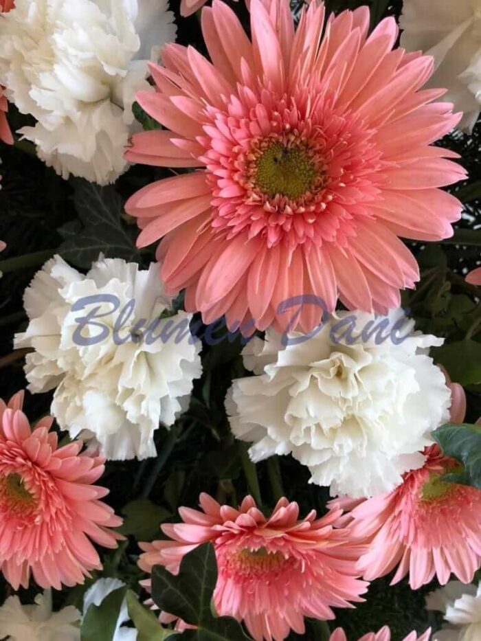 Bukett Gerbera und Nelken