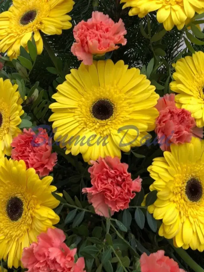 Bukett Gerbera und Nelken