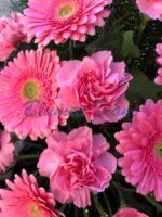 Bukett Gerbera und Nelken