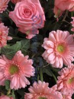 Bukett Gerbera und Rosen