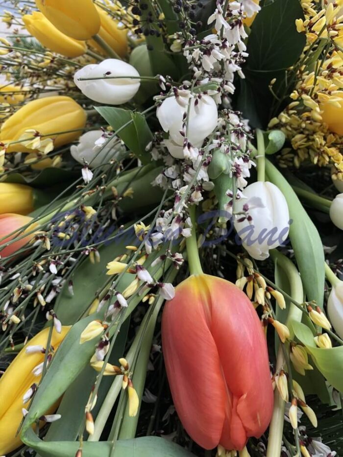 Bukett Tulpen