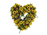 Herz_Sonnenblumen