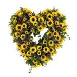 Herz_Sonnenblumen