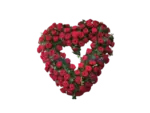 Herz_rosen