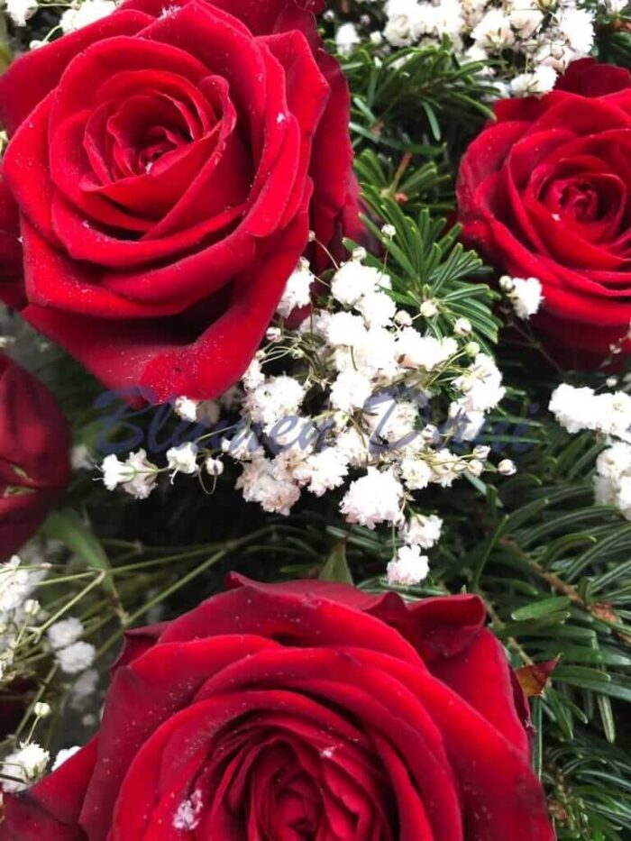 Herz_rosen