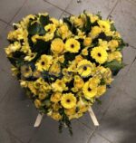 Herz-Schwamm nach Saison