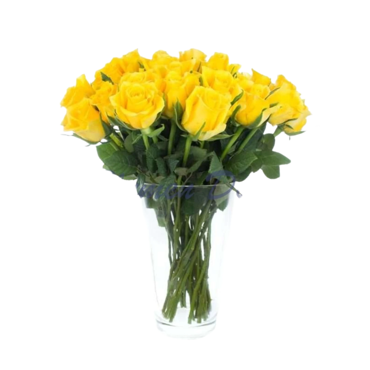 Rosen-03 Rosen