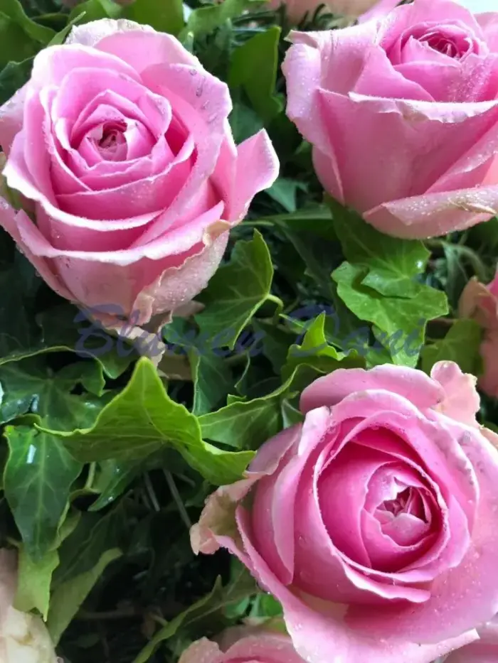 Biedermeier Kranz Rosen