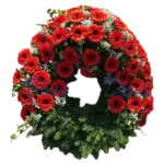 Gerbera-Kranz 2/3