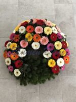 Gerbera-Kranz 2/3