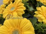 Gerbera-Kranz 2/3