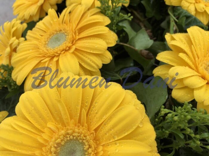 Gerbera-Kranz 2/3