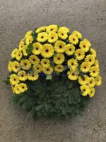 Gerbera-Kranz 2/3