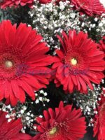 Gerbera-Kranz 2/3