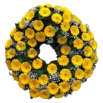 Gerbera-Kranz voll