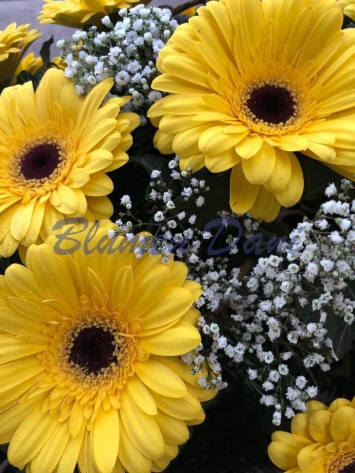 Gerbera-Kranz voll