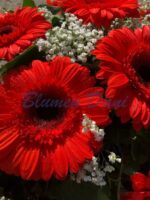 Gerbera-Kranz voll