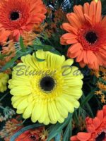 Gerbera-Kranz voll