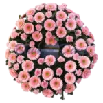 Gerbera-Nelken Kranz voll