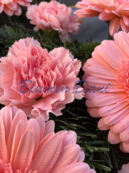 Gerbera-Nelken Kranz voll