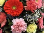 Gerbera-Nelken Kranz voll
