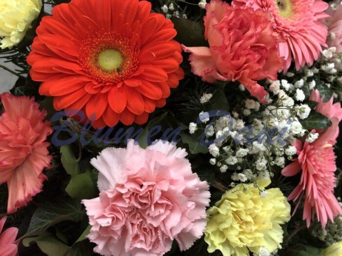 Gerbera-Nelken Kranz voll