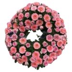 Gerbera-Rosen Kranz voll
