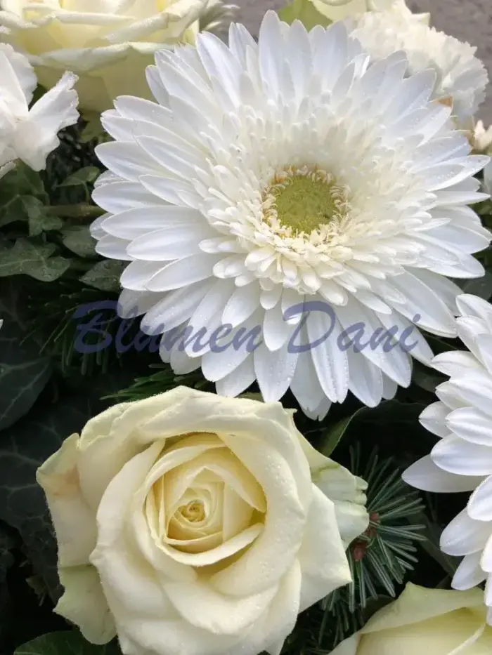 Gerbera-Rosen Kranz voll
