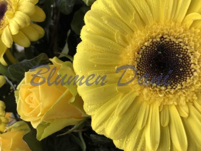 Gerbera-Rosen Kranz voll