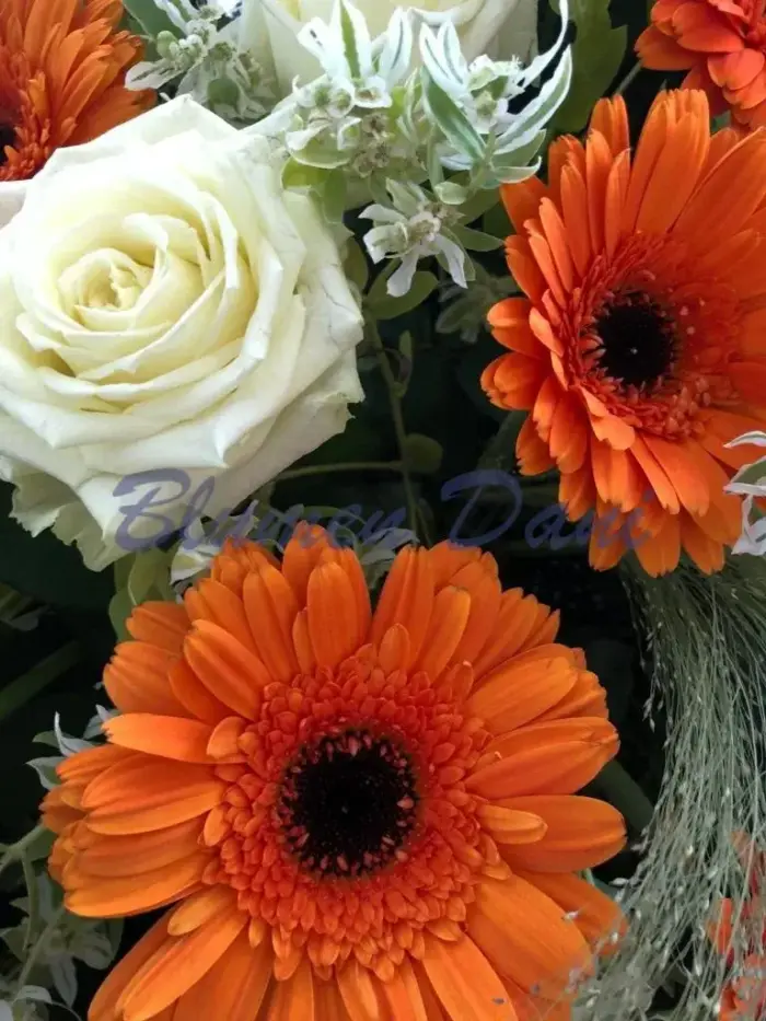 Gerbera-Rosen Kranz voll
