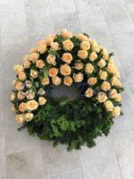 Rosen-Kranz 2/3