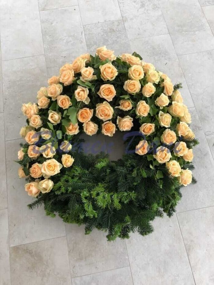 Rosen-Kranz 2/3