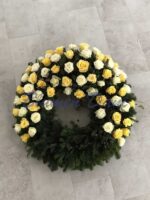 Rosen-Kranz 2/3