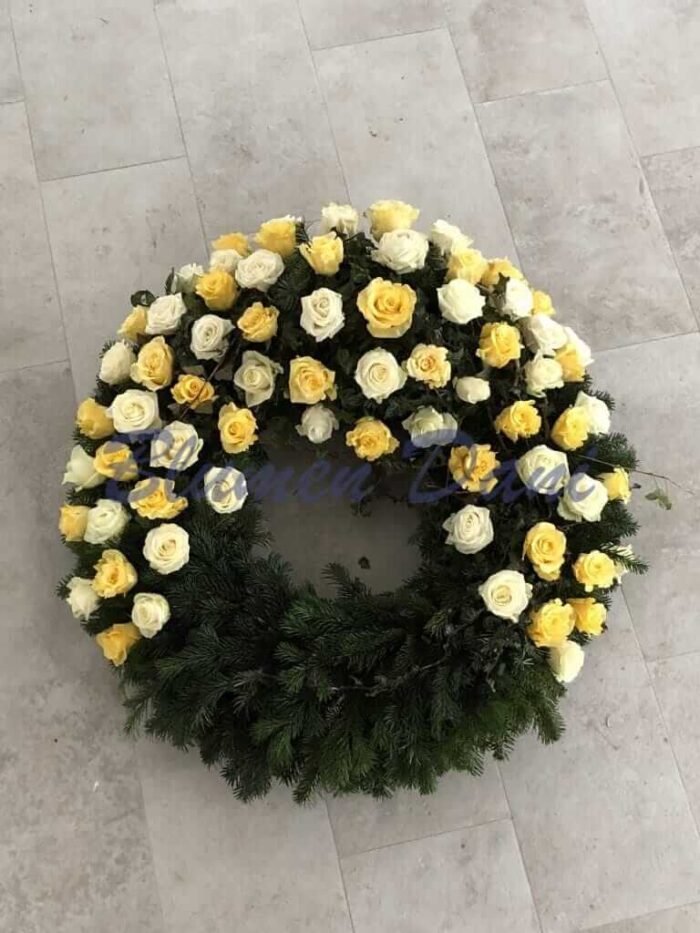 Rosen-Kranz 2/3