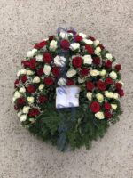 Rosen-Kranz 2/3