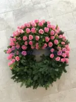 Rosen-Kranz 2/3
