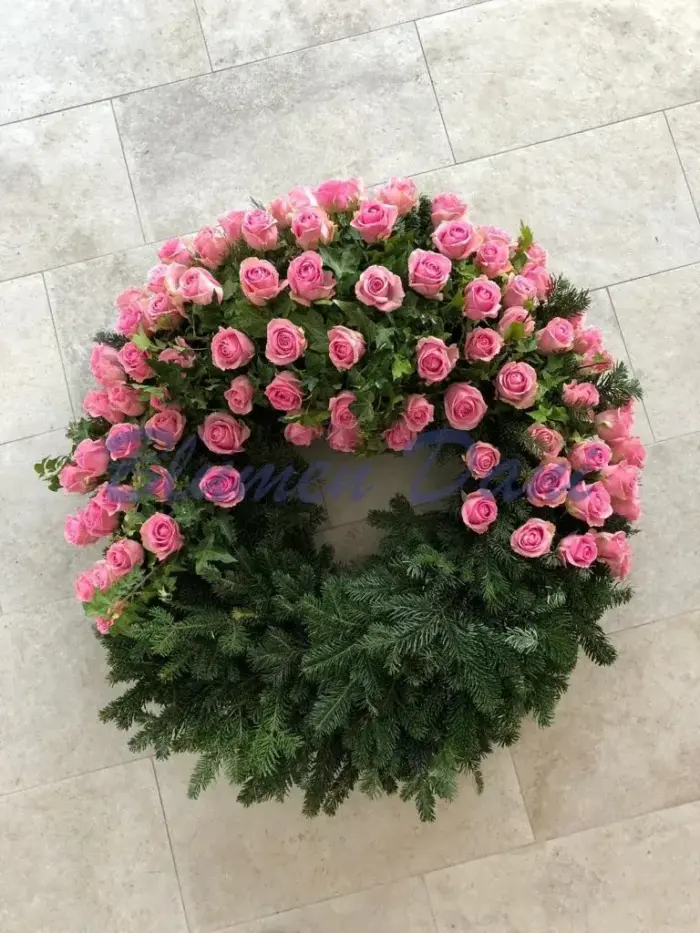 Rosen-Kranz 2/3