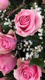Rosen-Kranz 2/3