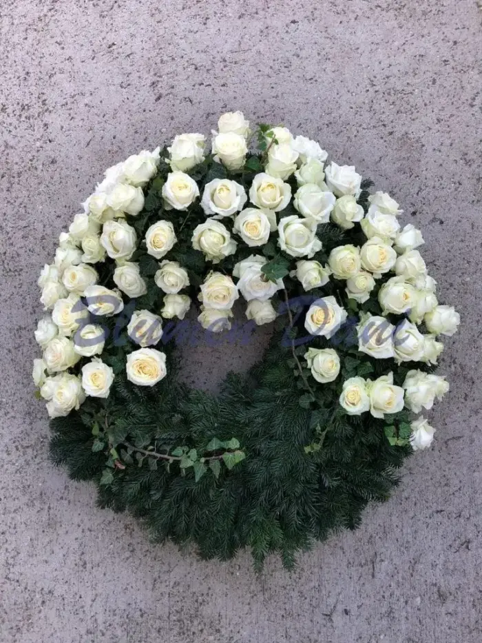 Rosen-Kranz 2/3