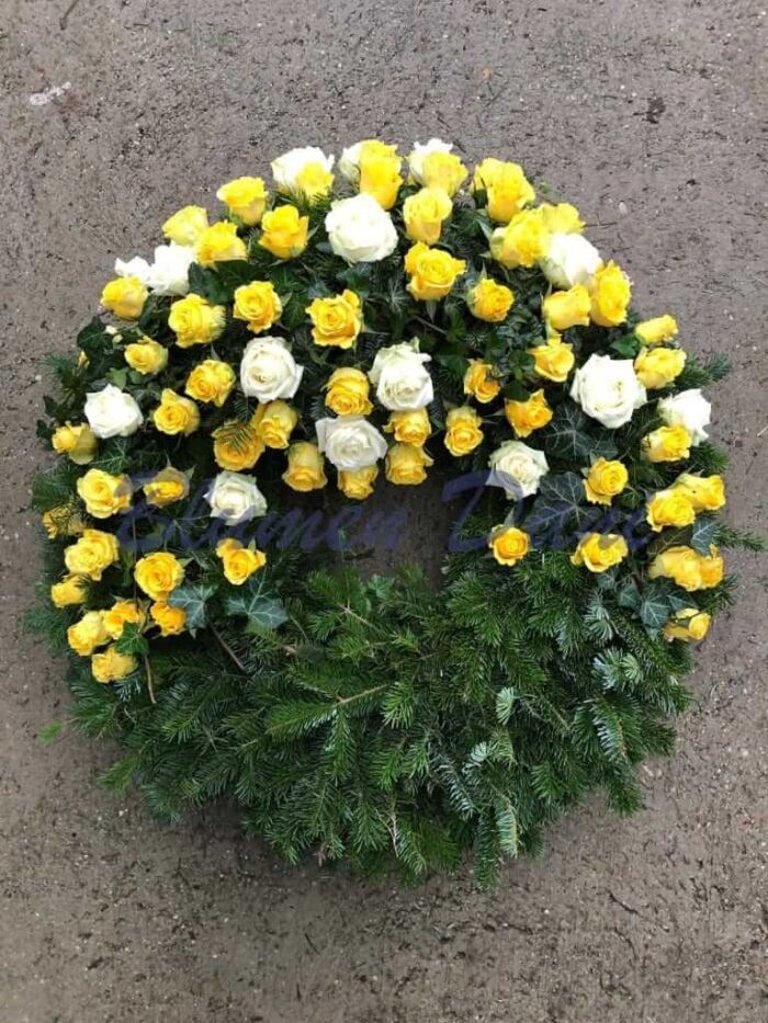 Rosen-Kranz 2/3