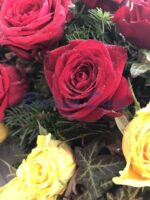 Rosen-Kranz voll