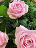 Rosen-Kranz voll