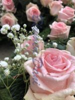 Rosen-Kranz voll