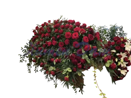 Sargdecke Rosen