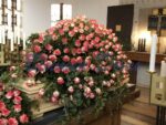 Sargdecke Rosen