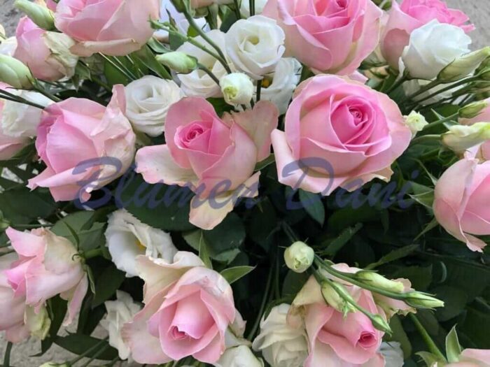 Sarggesteck Rosen